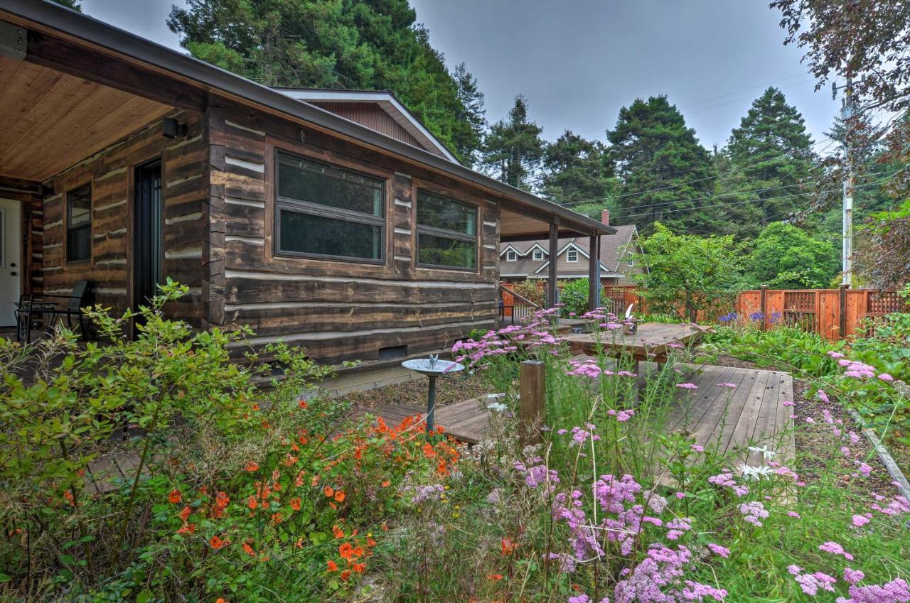Quiet And Cozy Eureka Home Near Sequoia Park And Zoo! Екстериор снимка
